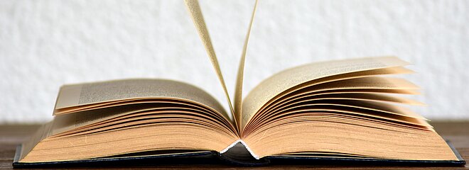 Imagem contém um livro aberto