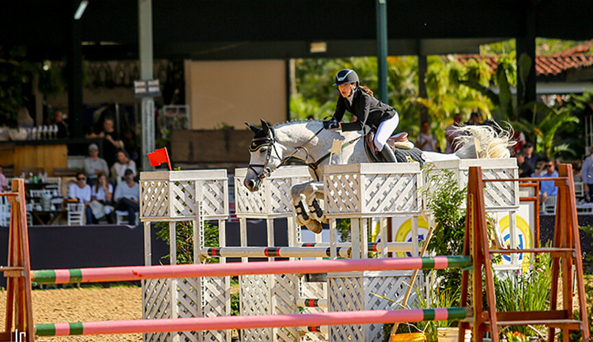cavalo com amazona salta sobre obstáculos 