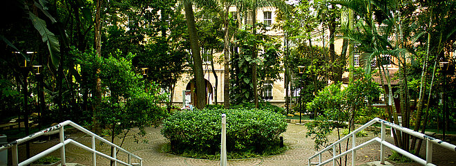 Imagem mostra o bosque do campus Higienópolis