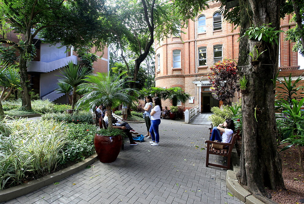 árvores e gramado em frente ao prédio tombado pelo patrimônio histórico