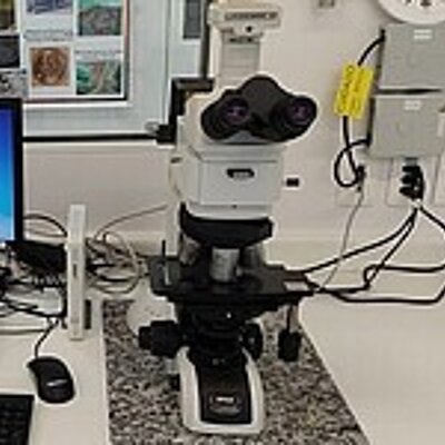 Optical Microscope - Nikon Eclipse LV100ND