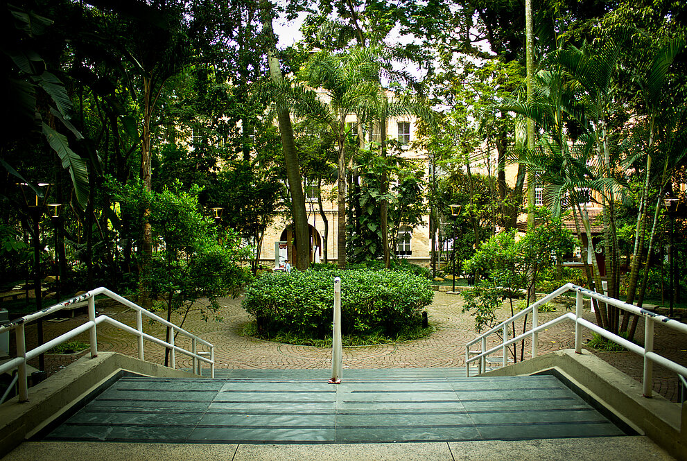 Escadaria com bosque ao fundo
