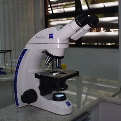 Microscópio Óptico Binocular – Zeiss