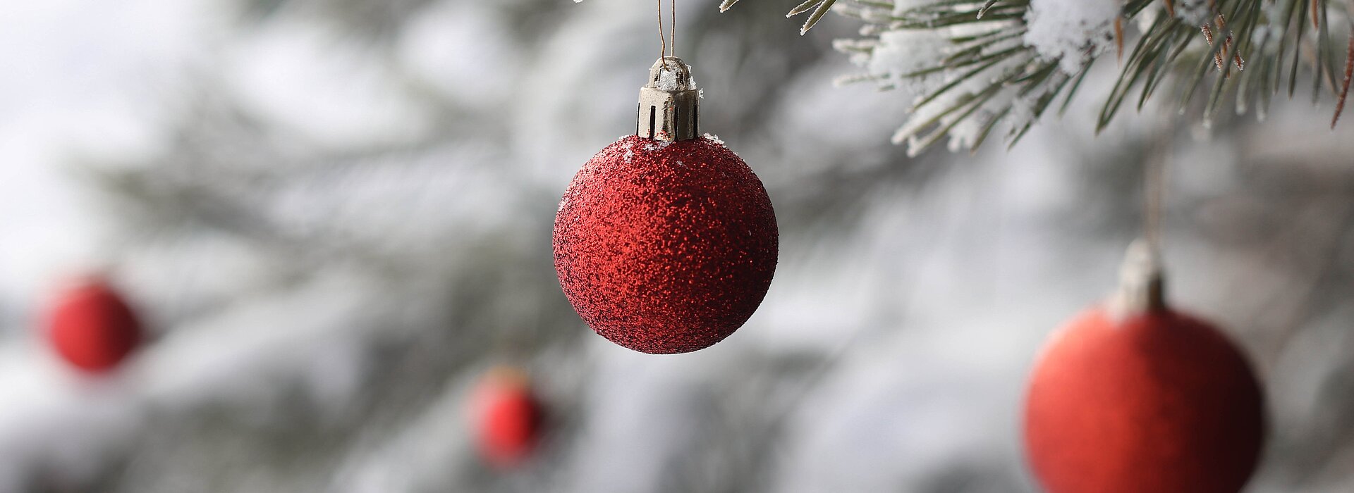 na imagem temos bolas vermelhas de árvore de natal 