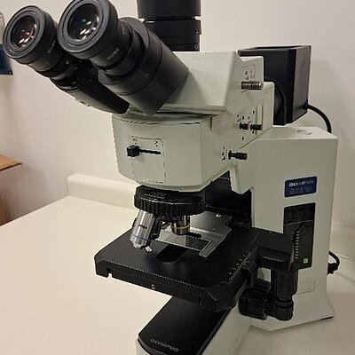 Microscópio óptico 