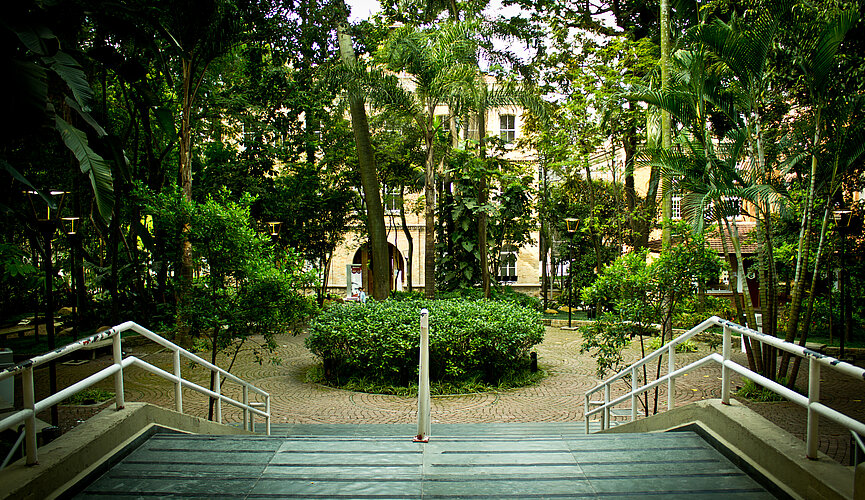 vista de uma escada que desemboca em um bosque verdejante