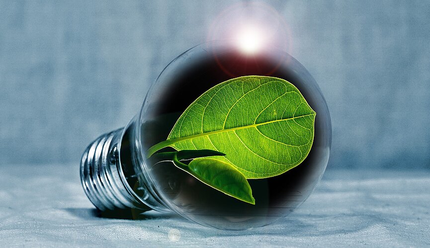 bulbo de lâmpada com folha verde dentro