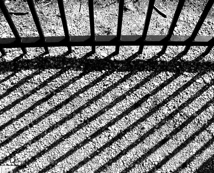 grade e uma sombra da grade