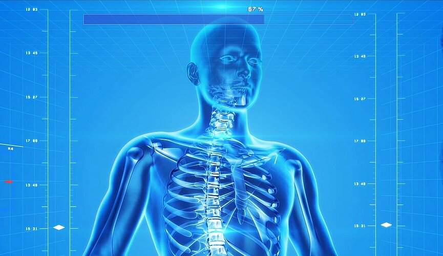 imagem do esqueleto humano