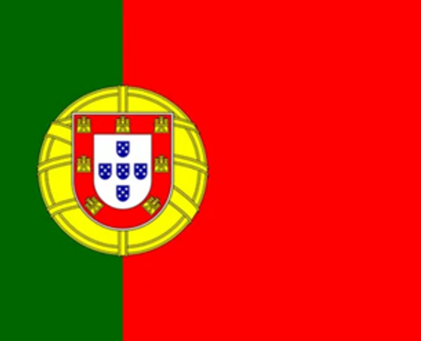 Conversas com egressos da Licenciatura em Letras Português e Espanhol:  entre percursos acadêmicos e profissionais