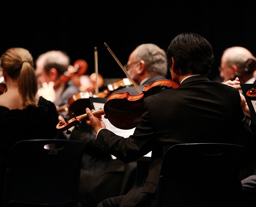 Profissionais em concerto. 