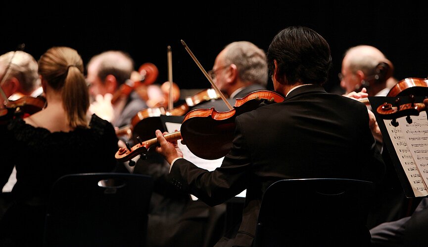 Profissionais em concerto. 