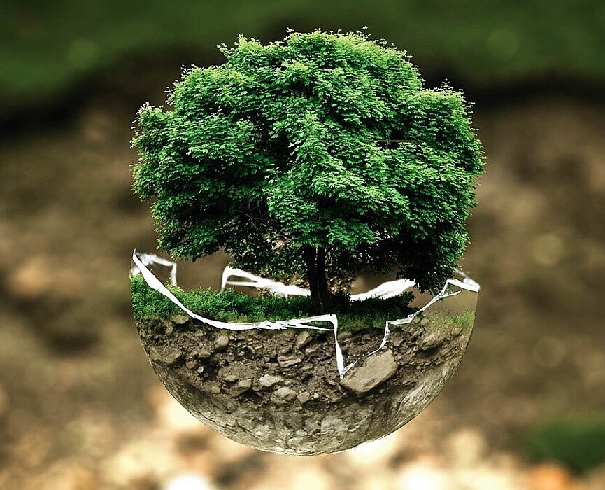 Árvore centralizada.